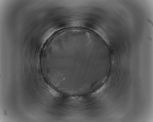 X0000097781023200803141803