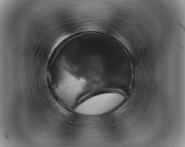 X0000097781024200803141803