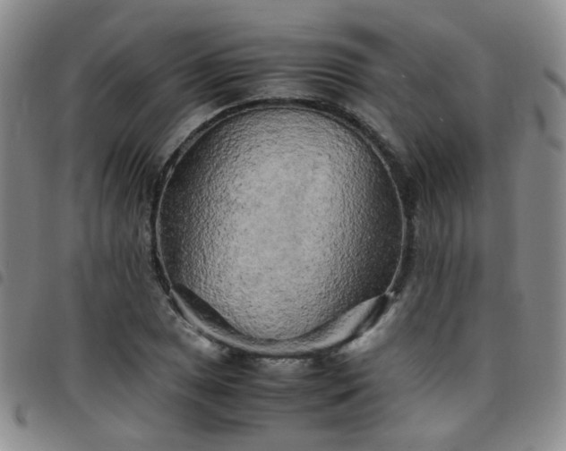 X0000097781025200803141803