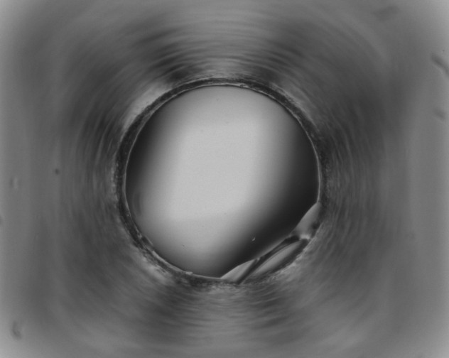 X0000097781026200803141803