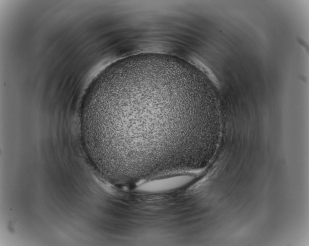 X0000097781027200803141803