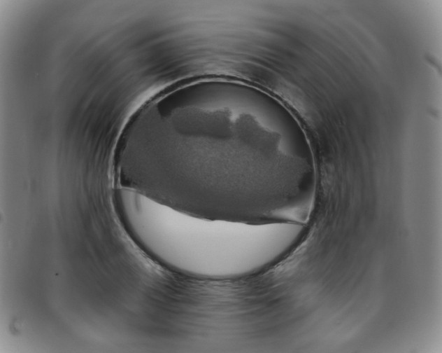 X0000097781028200803141803