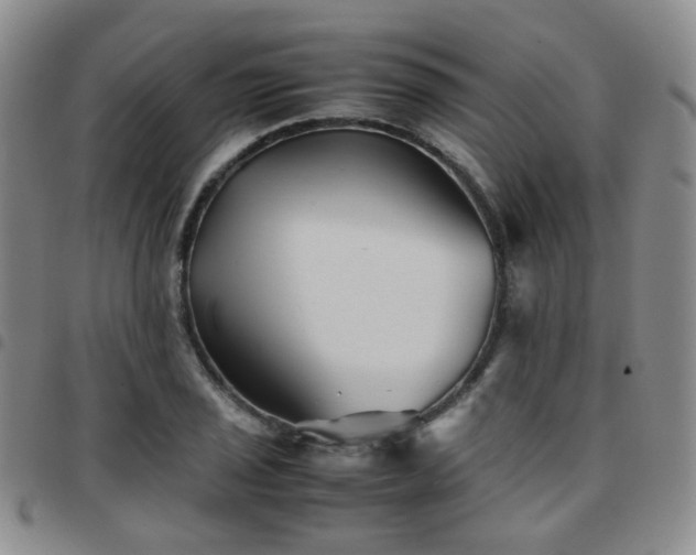 X0000097781029200803141803