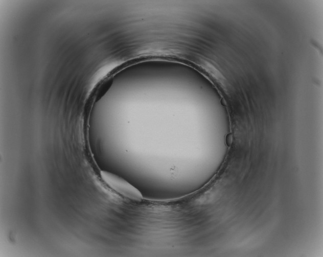 X0000097781030200803141803