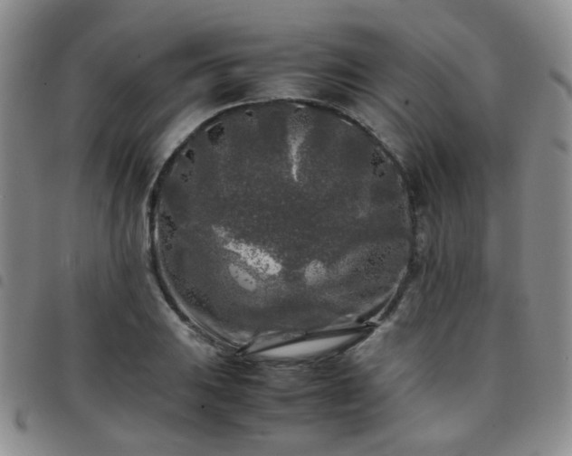 X0000097781031200803141803