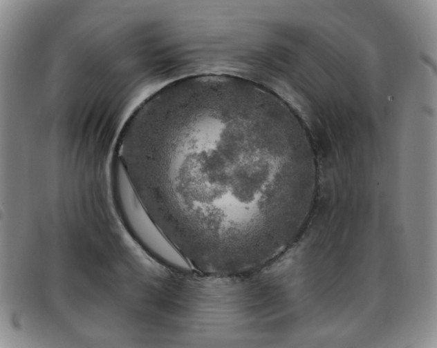 X0000097781032200803141803