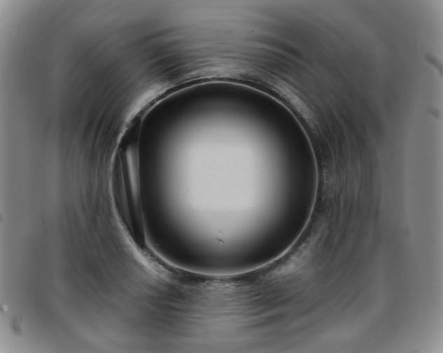 X0000097781034200803141803