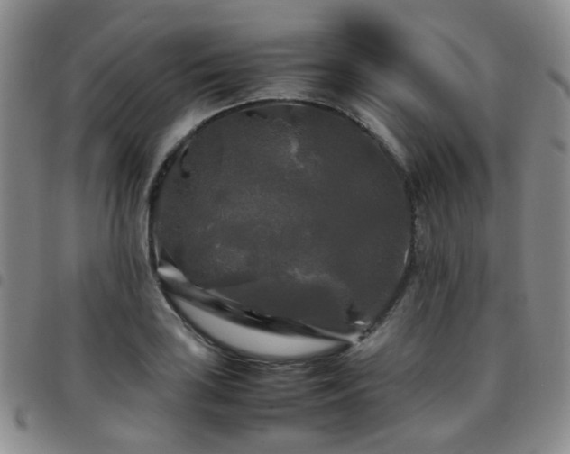 X0000097781035200803141803