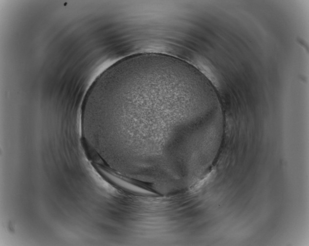 X0000097781036200803141803