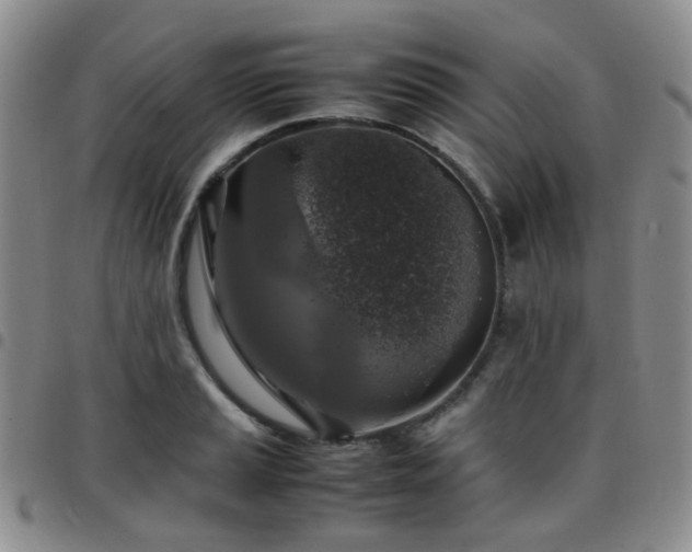 X0000097781037200803141803