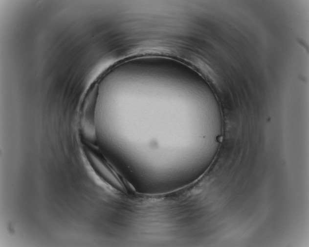 X0000097781038200803141803
