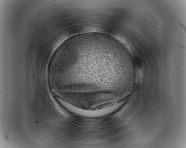 X0000097781039200803141803