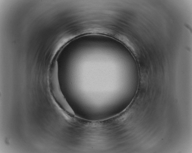 X0000097781040200803141803