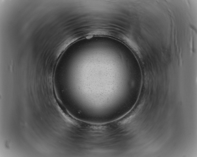 X0000097781041200803141803