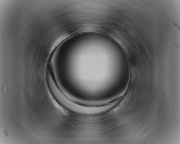 X0000097781042200803141803
