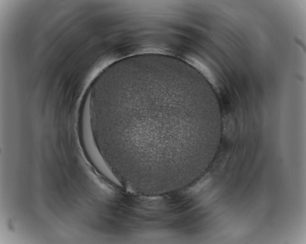 X0000097781043200803141803