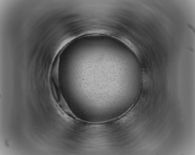 X0000097781044200803141803