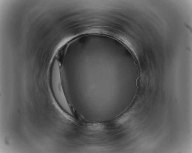X0000097781045200803141803