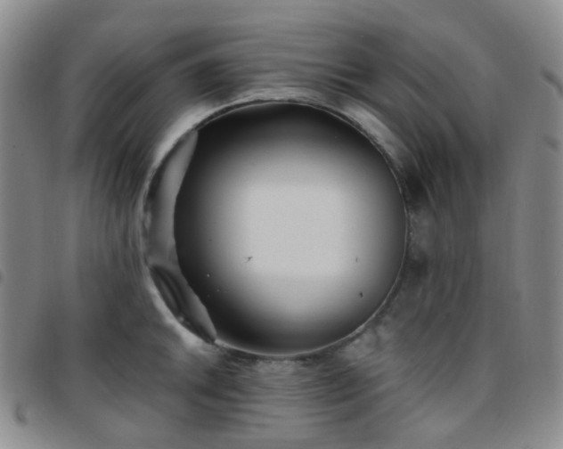 X0000097781046200803141803