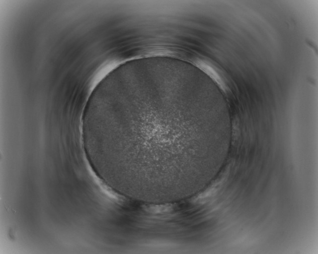 X0000097781047200803141803