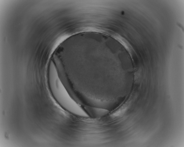 X0000097781048200803141803