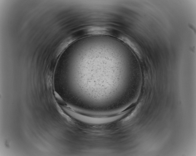 X0000097781049200803141803