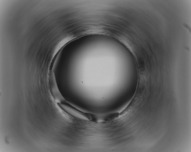 X0000097781050200803141803