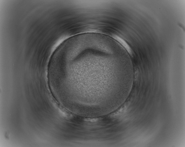 X0000097781051200803141803