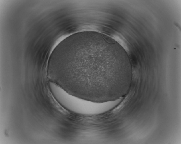 X0000097781052200803141803