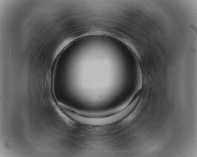 X0000097781054200803141803