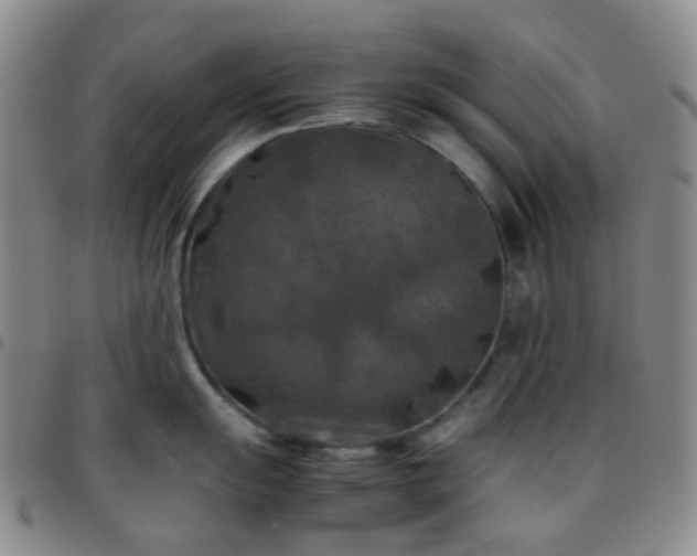 X0000097781055200803141803