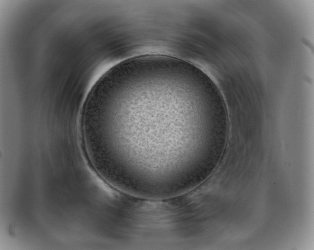 X0000097781056200803141803