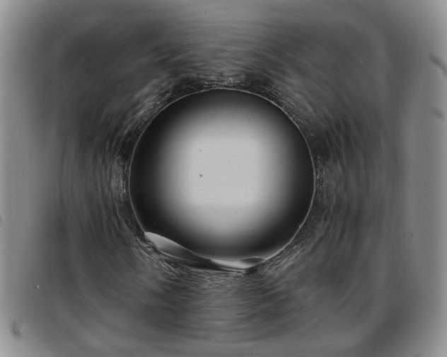 X0000097781058200803141802