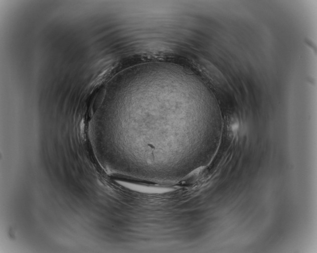 X0000097781060200803141802