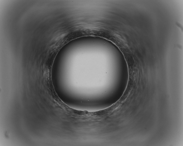 X0000097781061200803141802