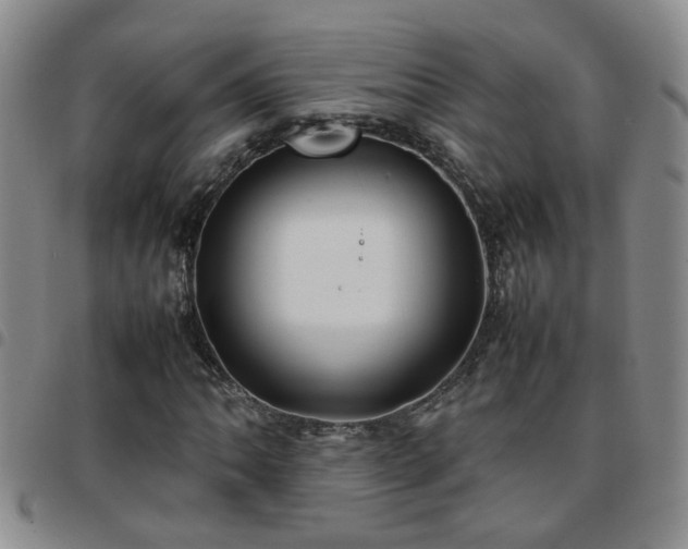 X0000097781062200803141802