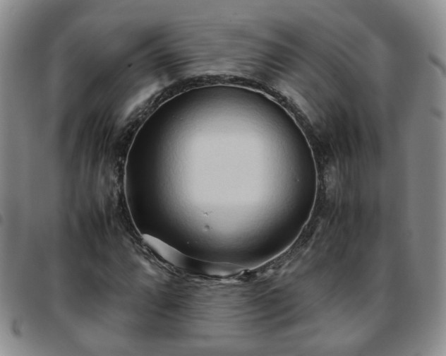 X0000097781064200803141802