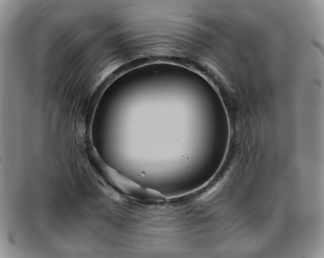 X0000097781065200803141802
