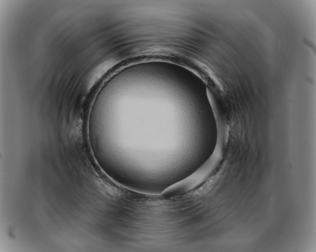 X0000097781066200803141802