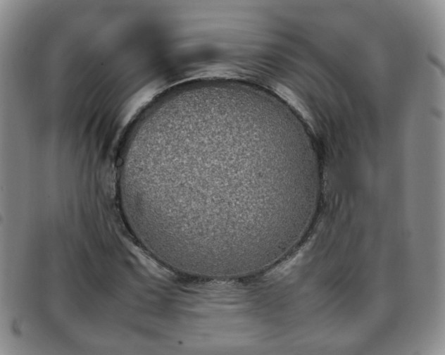 X0000097781067200803141802