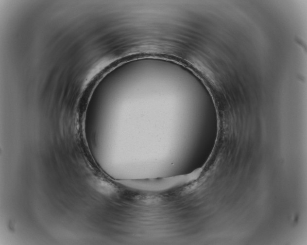 X0000097781070200803141802