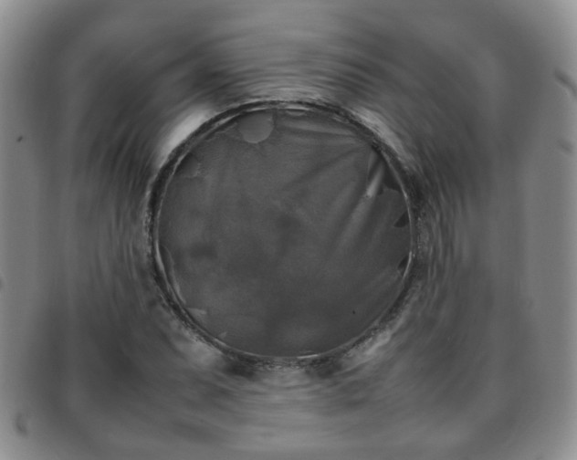 X0000097781071200803141802