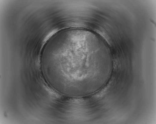 X0000097781074200803141802