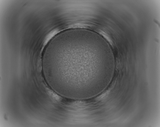 X0000097781075200803141802