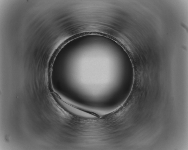 X0000097781076200803141802