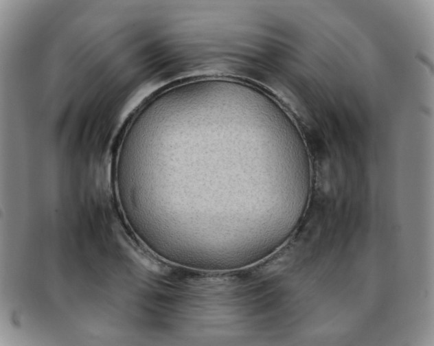 X0000097781078200803141802