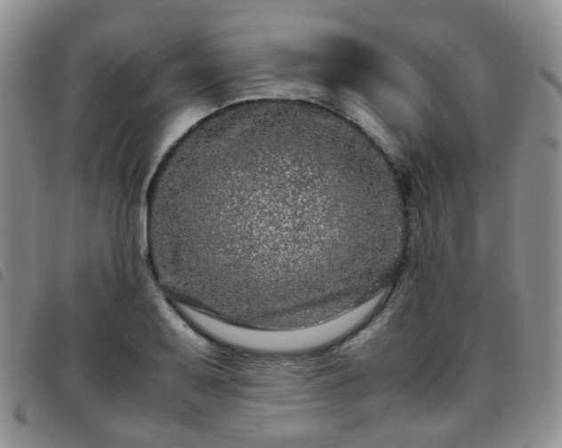 X0000097781079200803141802
