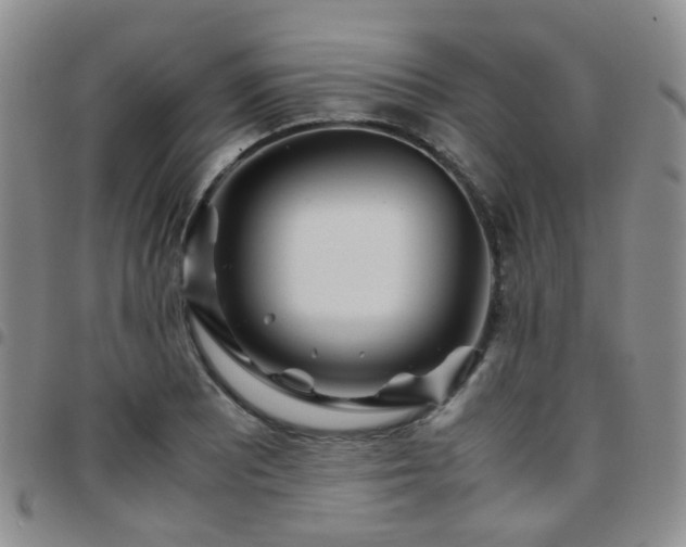 X0000097781081200803141802