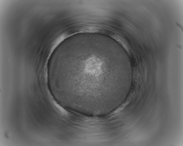 X0000097781083200803141802