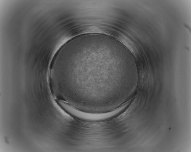 X0000097781084200803141802